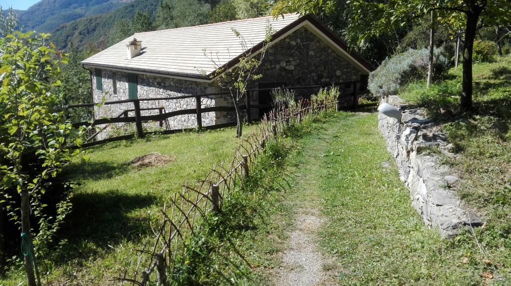 Agriturismo Il Mulino Stibiveri المظهر الخارجي الصورة